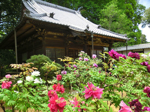 bsCIMG9989