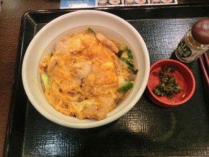 sCIMG9604