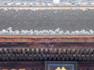sCIMG6444