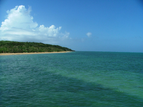 s06DSCF3457