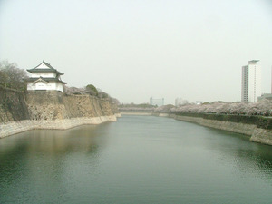 s05dscf5478
