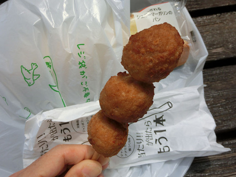 sCIMG0738