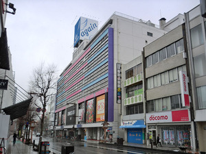 dezi6232