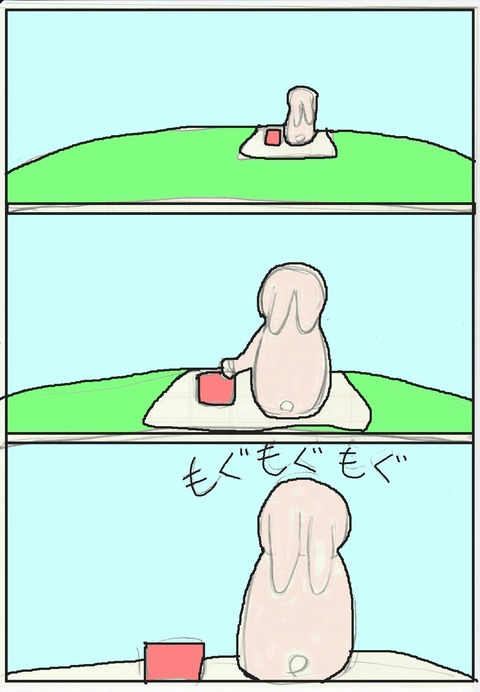 カラー03