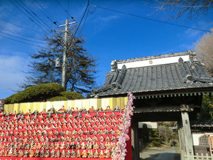 bsCIMG7525