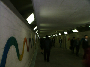 s08dscf5980