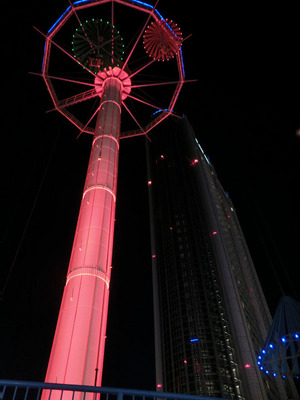 bsCIMG6571