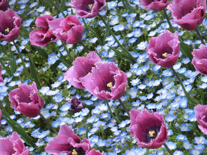 sCIMG6956
