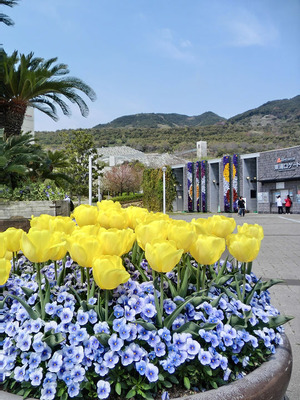 sCIMG6731