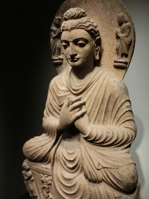 sCIMG7815