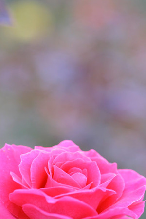 haikei_3372
