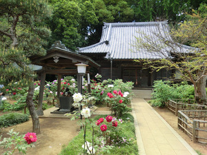 sCIMG0001