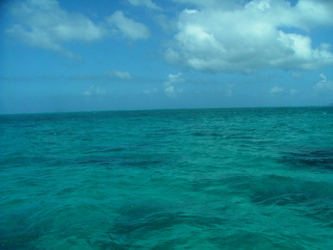 s04DSCF3339