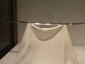 dCIMG7591