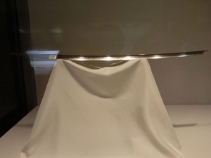 dCIMG7602