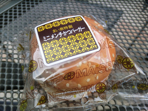 sCIMG8459