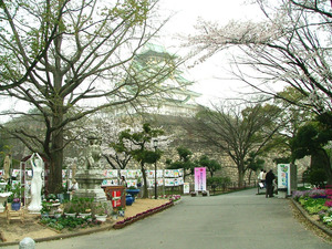 s09dscf5643