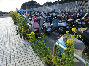 bsCIMG7487