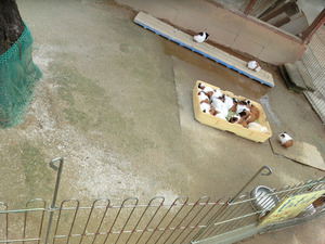 bsCIMG8214
