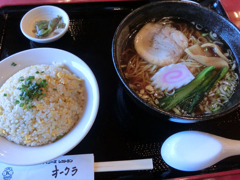 sCIMG9110
