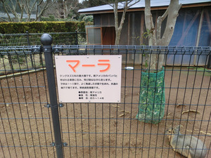 bsCIMG8139