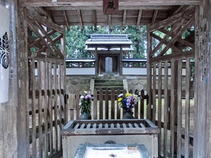 sCIMG0185