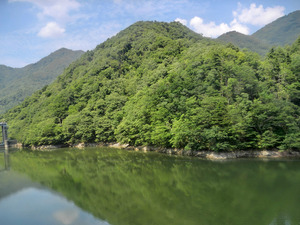 sCIMG0381