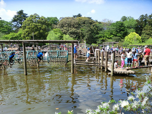 bsCIMG0010