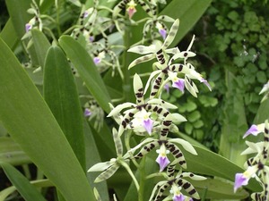 rimg0098