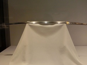 dCIMG7607
