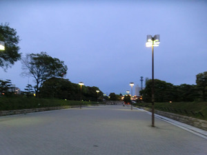 037043