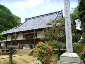 bsCIMG9985