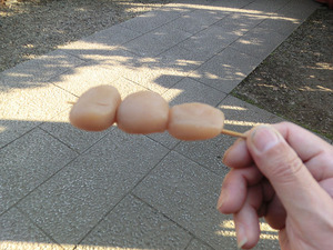 sCIMG7410