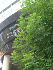 P1040602