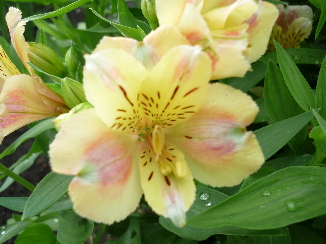 P1020156(1)