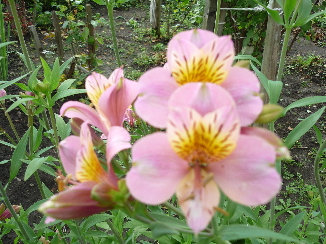 P1020154(1)