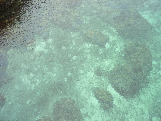 P1020205(1)