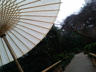 20090227082658.jpg
