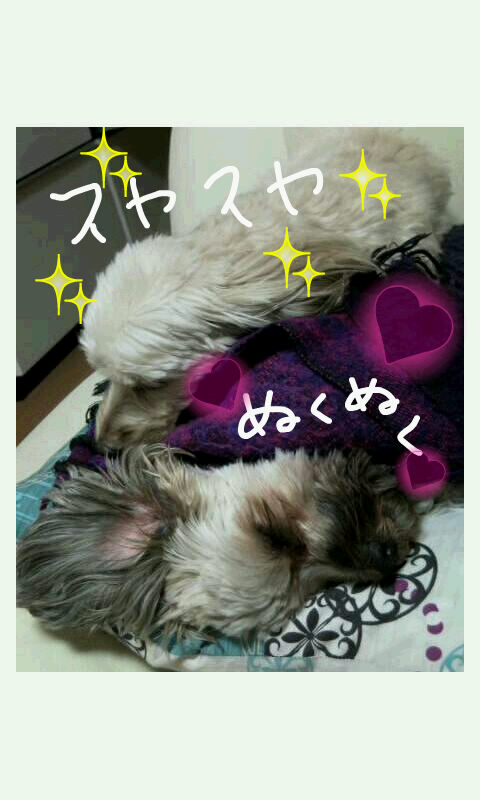 Oekaki_0002.jpg