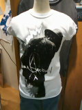 img20100110_1.jpg