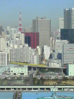 img20090114.jpg