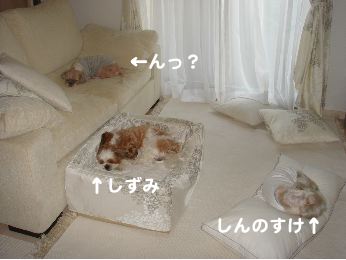 01_1.jpg