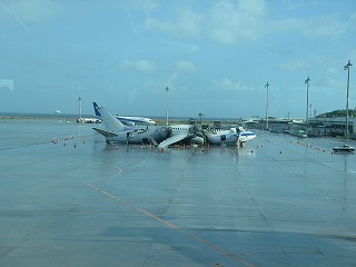 imgp0681.jpg