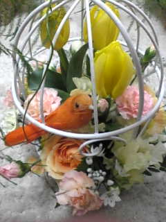 img20090206.jpg