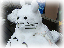 DSCF6074.jpg