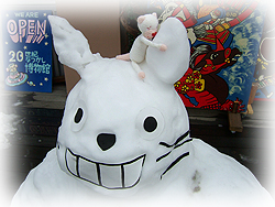 DSCF5985.jpg