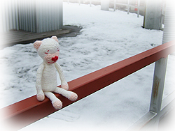 DSCF6081.jpg