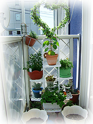 DSCF6920.jpg