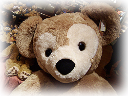 DSCF7301.jpg