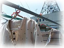 DSCF6925.jpg